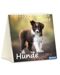 Hunde 2025 - Tischkalender