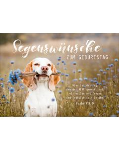 Faltkarte "Segenswünsche zum Geburtstag" - Hund