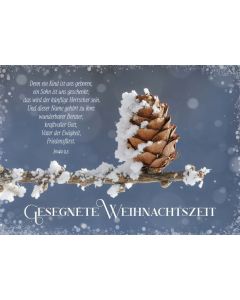 Postkarten "Gesegnete Weihnachtszeit" - Tannenzapfen 12 Stück