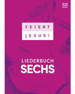 Feiert Jesus! 6 (Paperback)