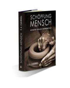 Schöpfung Mensch