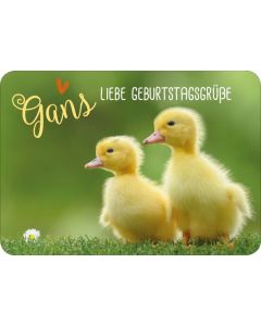 Postkarte 'Gans liebe Geburtstagsgrüße'