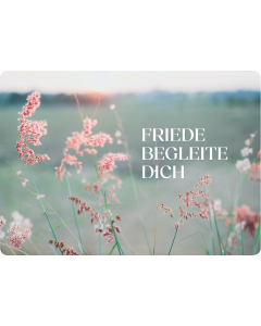 Postkarte 'Friede begleite dich'