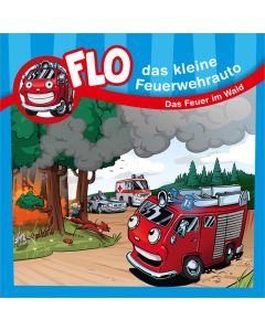 Das Feuer im Wald (Buch)