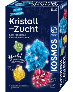 Kristall-Zucht (Experimentierkasten)