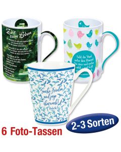 Paket 'Fototassen' 6 Ex. gemischt