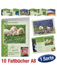 Paket 'Faltbücher A8' 10 Ex.