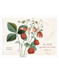 Postkarte 'Psalm 23 - Erdbeeren' 12 Ex.