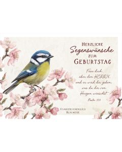 Postkarte Geburtstag - Blaumeise (12 Ex.)