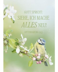 Poster A4 'Gott spricht: Siehe, ich mache alles neu!        Offenbarung 21,5'